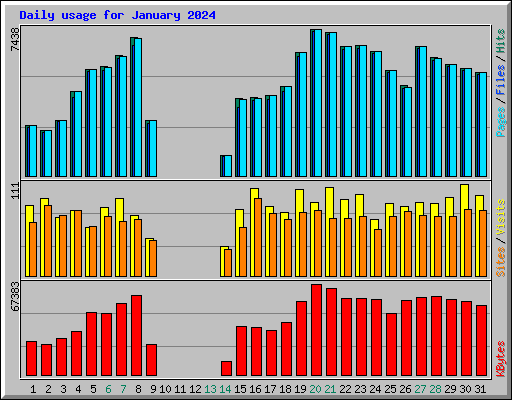 Daily usage for January 2024