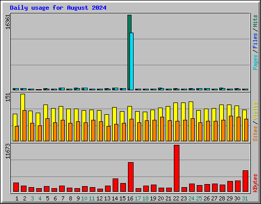 Daily usage for August 2024