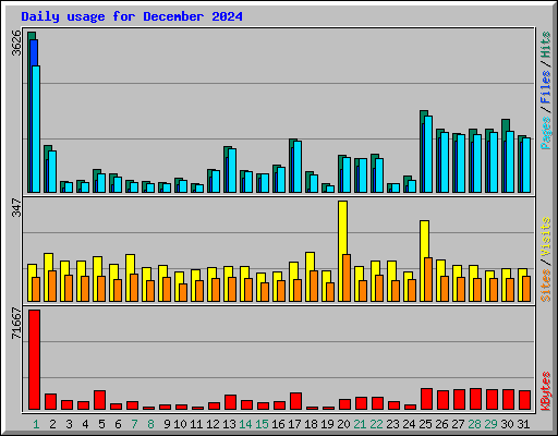 Daily usage for December 2024