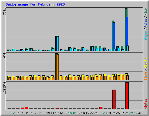 Daily usage for February 2025