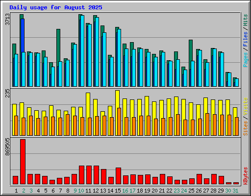 Daily usage for August 2025