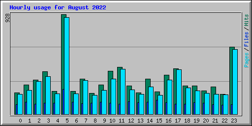 Hourly usage for August 2022