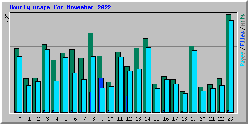 Hourly usage for November 2022
