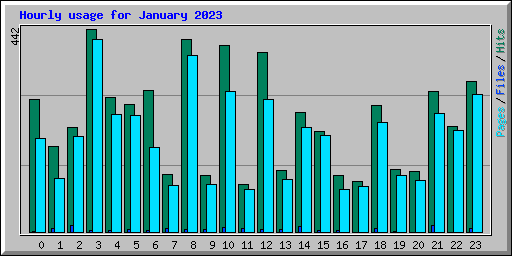 Hourly usage for January 2023