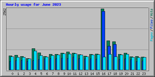 Hourly usage for June 2023