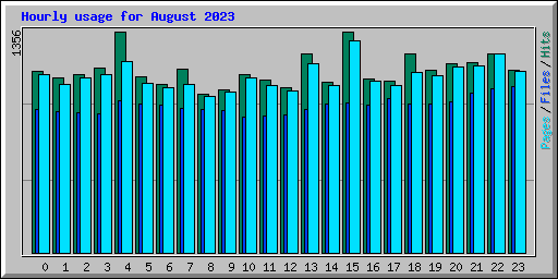Hourly usage for August 2023