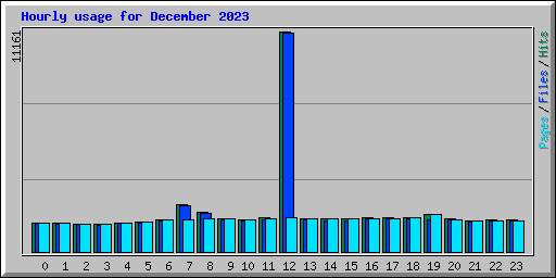 Hourly usage for December 2023