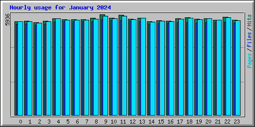 Hourly usage for January 2024