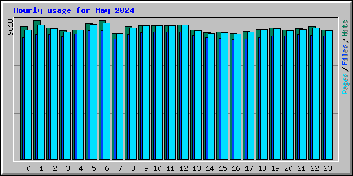 Hourly usage for May 2024