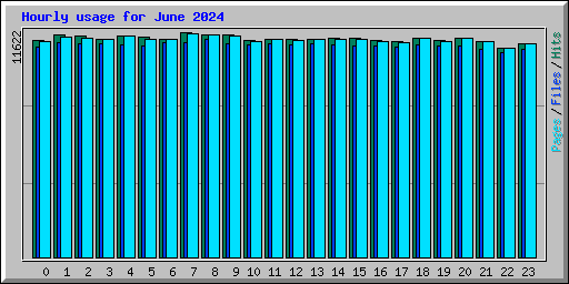 Hourly usage for June 2024