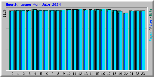 Hourly usage for July 2024