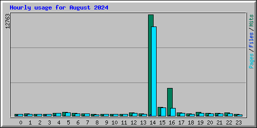 Hourly usage for August 2024