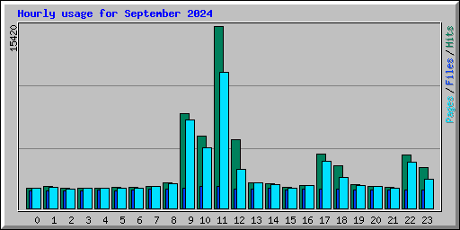Hourly usage for September 2024