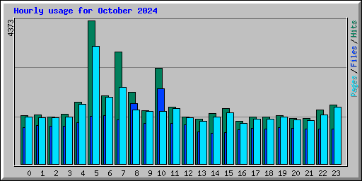 Hourly usage for October 2024