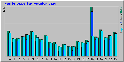 Hourly usage for November 2024