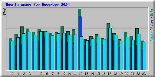 Hourly usage for December 2024