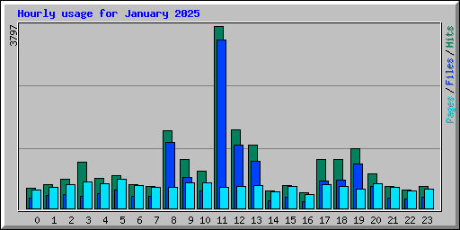 Hourly usage for January 2025