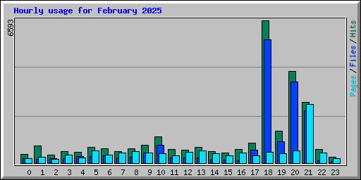 Hourly usage for February 2025