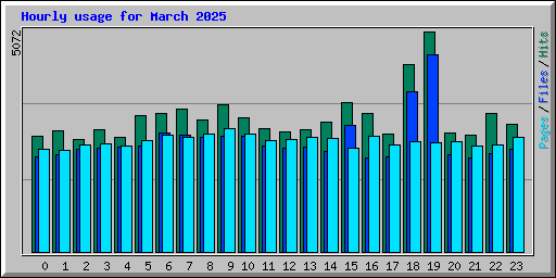 Hourly usage for March 2025