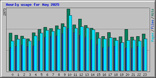 Hourly usage for May 2025