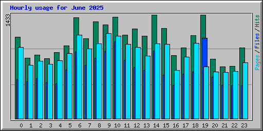 Hourly usage for June 2025