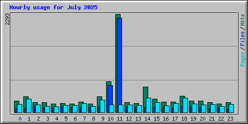 Hourly usage for July 2025