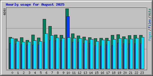 Hourly usage for August 2025