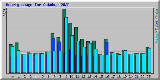 Hourly usage for October 2025