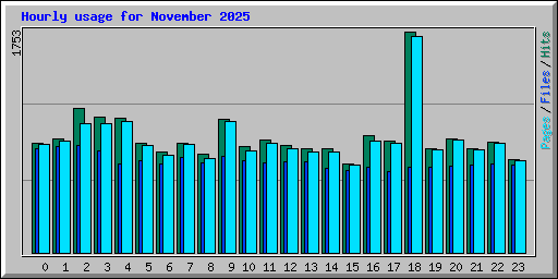 Hourly usage for November 2025