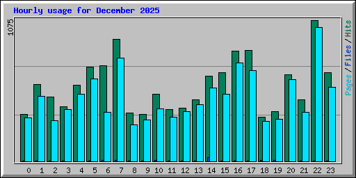 Hourly usage for December 2025