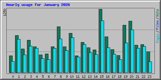 Hourly usage for January 2026